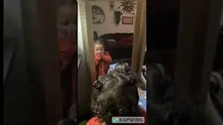 Twin sisters realize they look alike! 😂