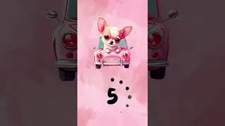 10 seconds timer Valentine's Dogs 