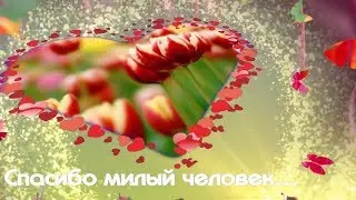 Моим друзьям. Сердечное спасибо