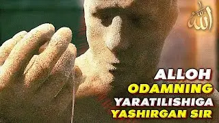 Одамнинг яратилишига яширилган сир!