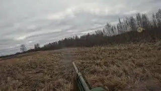 Охота на косулю сайга 12с