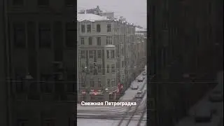 Снежная Петроградка. #спб #shorts #snow