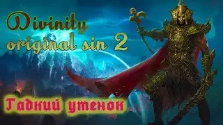 Divinity: Original Sin 2  Гадкий утенок
