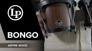 Latin Percussion Aspire Wood Bongo