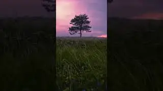 Beautiful #4k #nature #природа #beautiful #красота #релакс