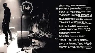 Fink - Perfect Darkness (Live)