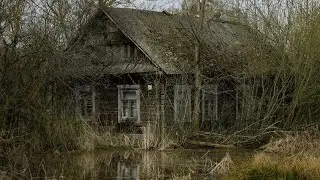 LIFE ON THE EDGE OF THE FOREST! ​​FOREST GUARDIAN! COIN SEARCH 2020!