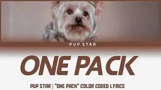 PUP STAR | "One Pack" color coded lyrics