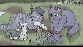 Коты воители песня мама… 😊