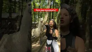 МЕНЯ ОБОКРАЛА ЛАМА