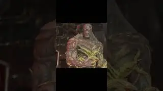 Wonder Woman puts SwampThing in his place #gaming #injustice2 #wonderwoman #mortalkombat #mkvsdc #mk