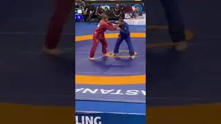 20 октября 2024 г.