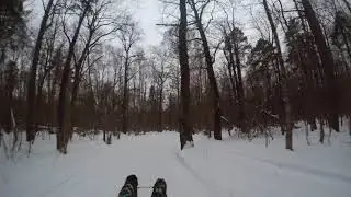 10.02.2019 Миша - Гранд, Вася.  Лыжи.  Лыжная трасса в Ромашково.