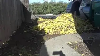 Raking Leaves (HD) TIME LAPSE
