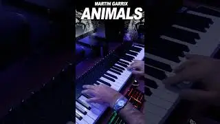 Martin Garrix - Animals - Cover Piano #edm #flstudio #producer