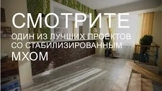 Озеленение отеля стабилизированным мхом от зеленыерадости.рф. GreenWhich Hotel, Казахстан