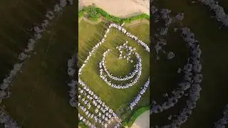 14 August Independence Day 2024 #reels