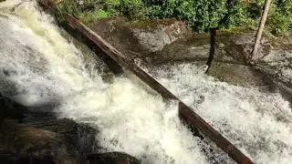 Swan Falls