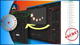Sort and Group Macro Template Parameters in DaVinci Resolve - Secret of Fusion Setting File