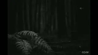 Woodkid Drill Type Beat "Kid in the Woods" - (Prod. Epoz Beatz) | 138 bpm