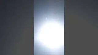 и ети розы нам всем нужны