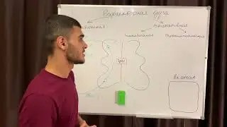 ЧТО ТАКОЕ РЕФЛЕКС/РЕФЛЕКТОРНАЯ ДУГА?