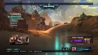 Paladins w/ da boyz