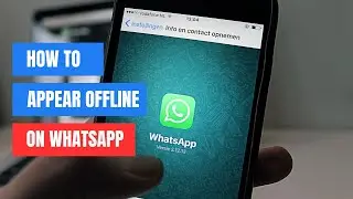 How To Appear Offline On WhatsApp (2024)