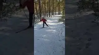 22.04.2023 На лыжах 🎿 по трассе здоровья