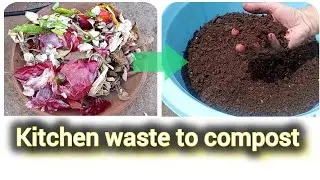 Convert Kitchen Waste to Nutrient Rich Fertilizer