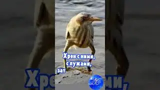 Доброе утро пятницы!