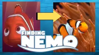 Top Finding Nemo Fish IN REAL LIFE 🐟