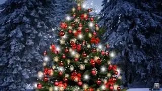 С НОВЫМ ГОДОМ, ДОРОГИЕ ДРУЗЬЯ!🌟🎄❤️ Пушистый в гости пришел:)💫🐾🐇