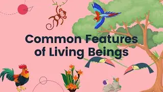 Common features of living beings | Class-2, 3 | Animated Video