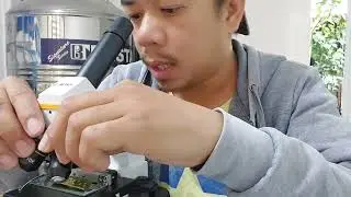 Napakaliit na Insekto sa Dahon ng Niyog #underthemicroscope #lexblags