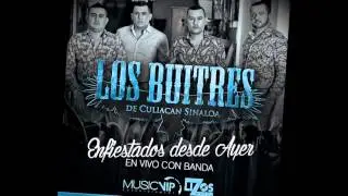 Los Buitres De Culiacan - Gorra Negra (Banda)  2015