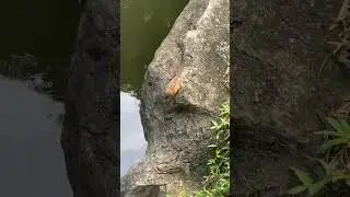 Admire the beauty of nature 