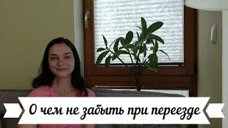 О чем не забыть при переезде в другой город Польши