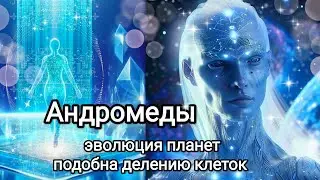 🌐АНДРОМЕДИАНЦЫ ПОСЛАНИЕ 🌏Эволюция Планет подобна делению клеток🧬