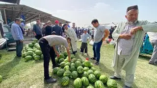 НАРХИ ТАРБУЗ ЧАВ ГАНДУМ ЧУГОРИ БУГДОЙ АРПА МАККА КАРТОШКА САБЗИ 28 мая 2022 ГУСФАНД КУЧКАР БАРАНЧИКИ