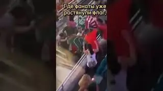 Спасение кота 👍👍👍￼