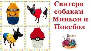 5. Свитера собакам Миньон и Покебол