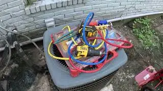 (Raw Warning Disgusting) The Real Truth About Apartment Maintenance, Can Be Gross.