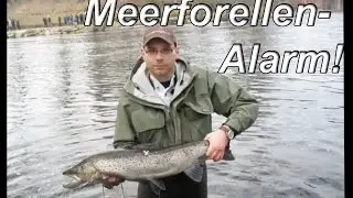 Fliegenfischen Großfisch im Drill - Angeln an der Mörrum 2010