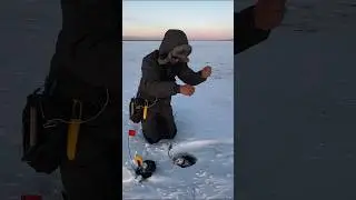 Если щука не идет к рыбаку - рыбак идет к щуке 😅 #забайкальскийкрай #рыбалка #щука #жерлицы
