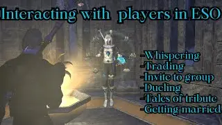 Interacting With Players In ESO