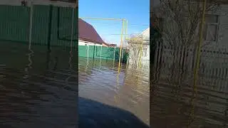 Половодье 2024. Большая глушица.