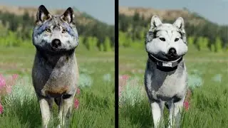 Helene & Rieka Season 2 Pup Reveals! | Lustre & Path Of Power Pack | WolfQuest Anniversary Edition