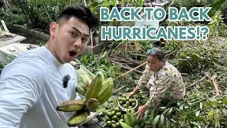 Preparing for another Hurricane in Tampa: garden prep, fearless mom, last minute harvest