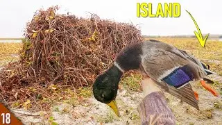 THIS WORKED?! Hunting a SAND ISLAND for Ducks (Limited Out) | Duck Hunting in a NEW Spot